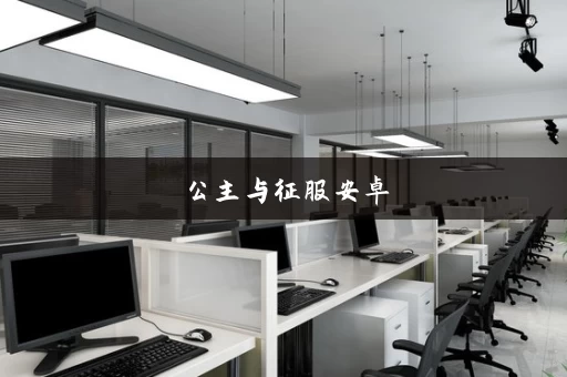 公主与征服安卓