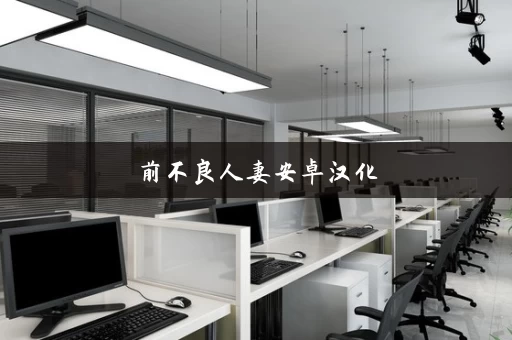 前不良人妻安卓汉化