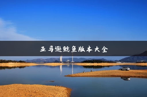 亚马逊鲶鱼版本大全