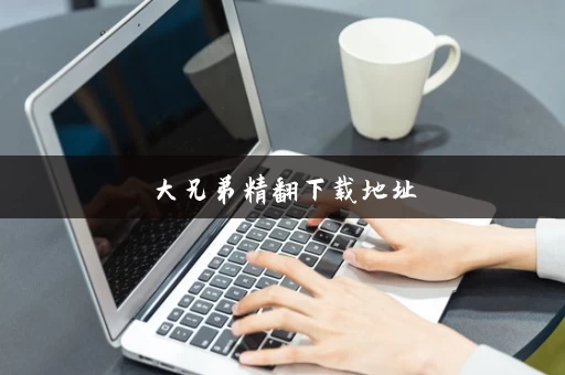 大兄弟精翻下载地址