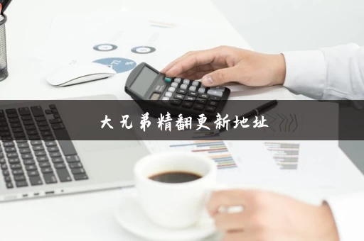 大兄弟精翻更新地址