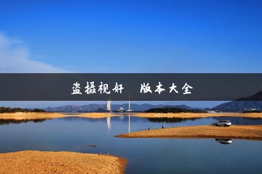 盗摄视奸  版本大全