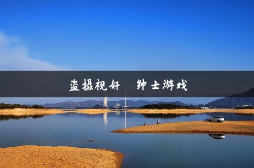 盗摄视奸  绅士游戏