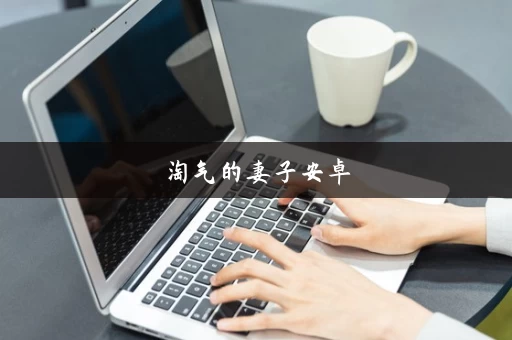 淘气的妻子安卓