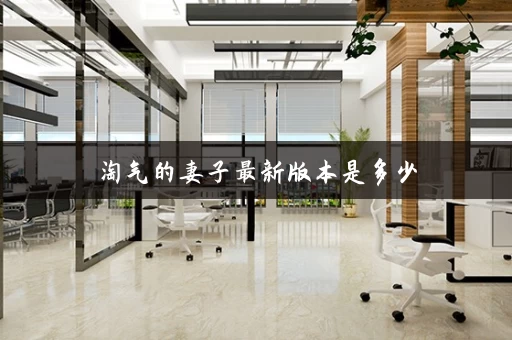 淘气的妻子最新版本是多少