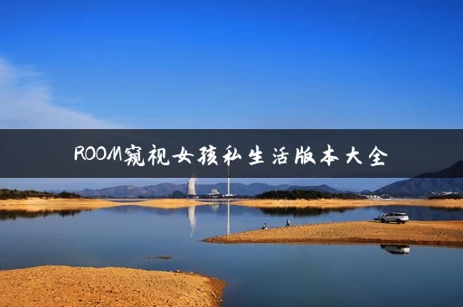 ROOM窥视女孩私生活版本大全
