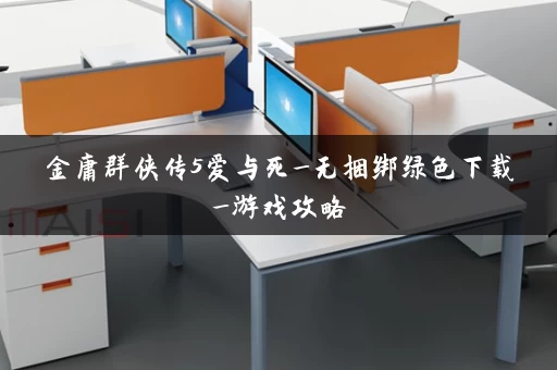 金庸群侠传5爱与死_无捆绑绿色下载_游戏攻略