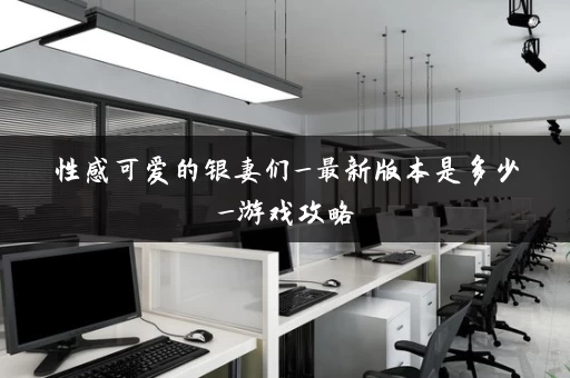 性感可爱的银妻们_最新版本是多少_游戏攻略