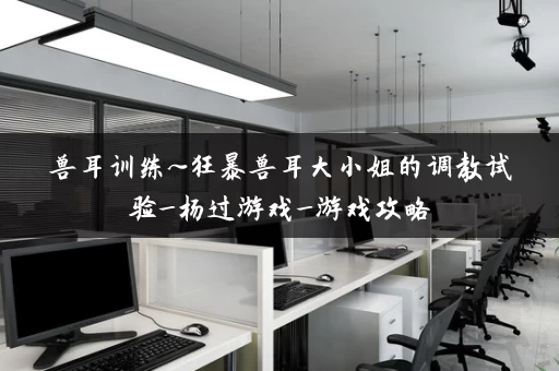 兽耳训练~狂暴兽耳大小姐的调教试验_杨过游戏_游戏攻略