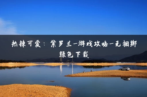 热辣可爱：紫罗兰_游戏攻略_无捆绑绿色下载