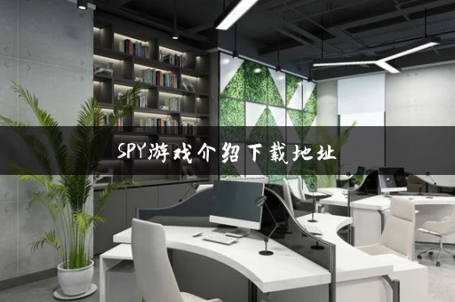SPY游戏介绍下载地址
