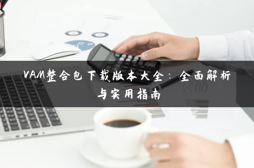 VAM整合包下载版本大全：全面解析与实用指南