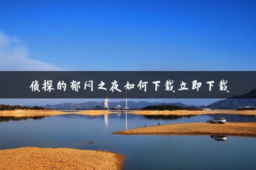 侦探的郁闷之夜如何下载立即下载