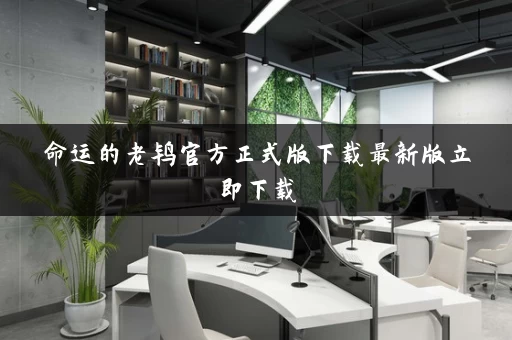 命运的老鸨官方正式版下载最新版立即下载
