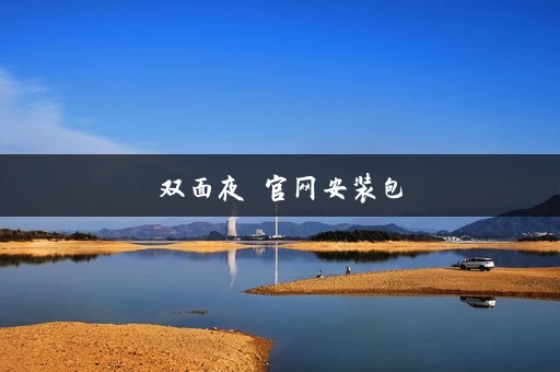 双面夜孃官网安装包