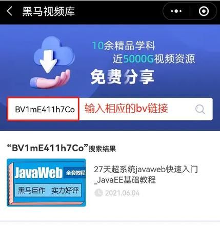 黄色单机游戏下载指南，手把手教你找到资源！