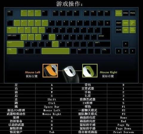 cf单机游戏怎么下载？手把手教你安装游玩！