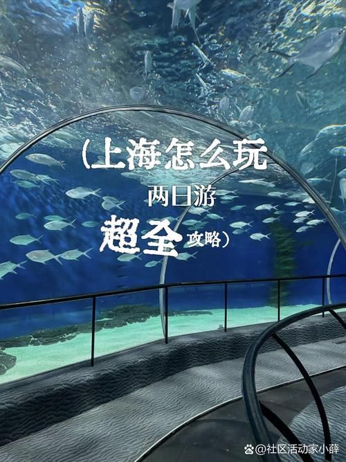 单机游戏上海滩好玩吗？新手必看攻略都在这！