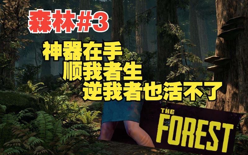 单机游戏森林秘籍有哪些？通关必备技巧分享！