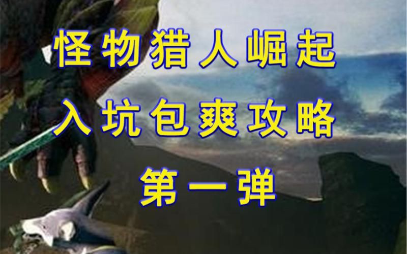 怪物猎人是单机游戏吗？新手必看入坑指南！