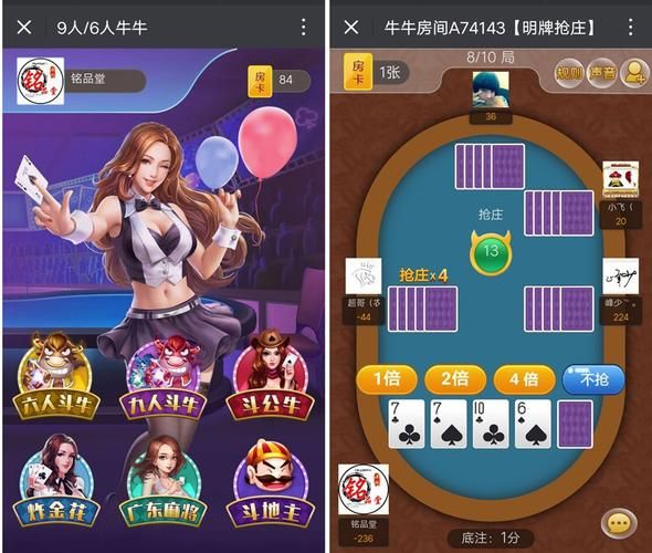 牛牛棋牌单机游戏怎么玩？新手快速上手攻略！