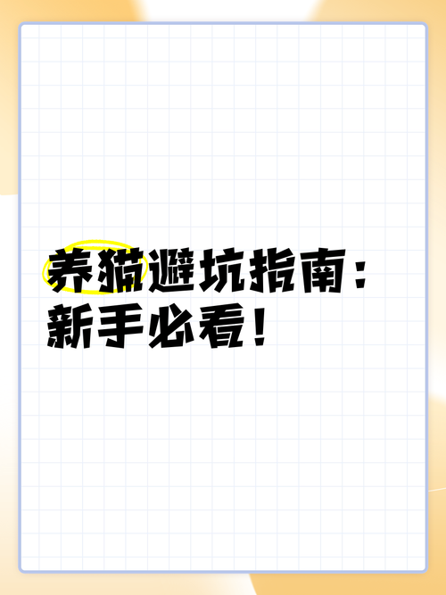 后宫单机游戏怎么选？新手必看避坑指南来了！