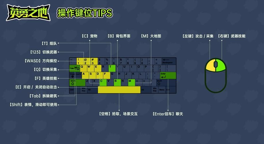 单机游戏百科怎么用？新手快速上手全攻略！