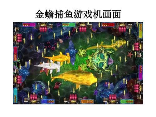 金蟾捕鱼单机游戏下载哪个好？版本对比推荐！