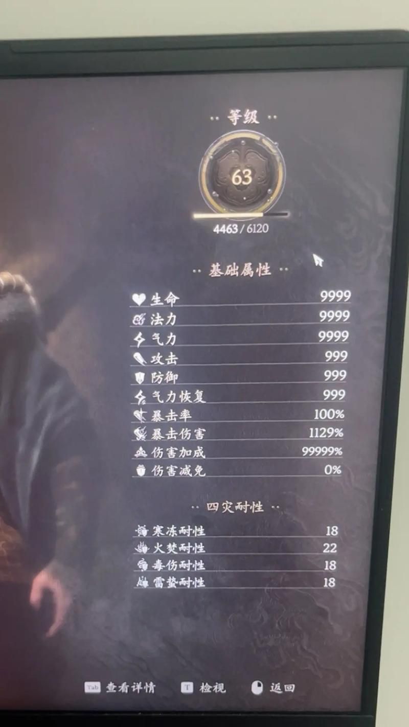 齐天大圣单机游戏下载攻略，手把手教你安装！