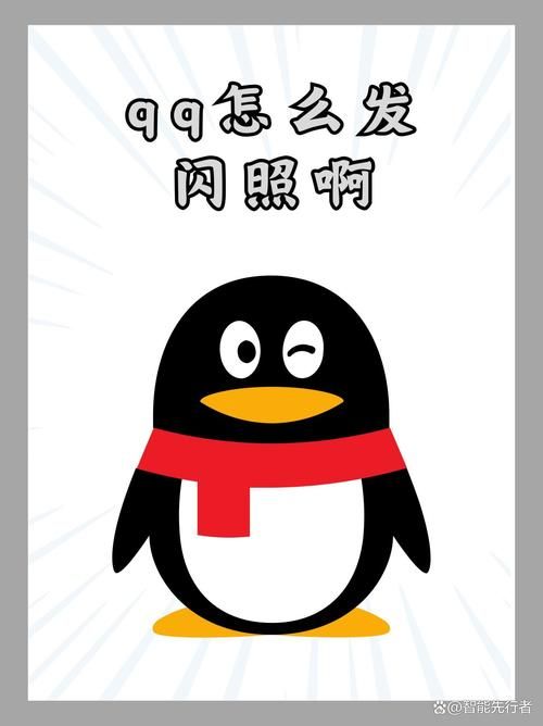 QQ闪照引流代码