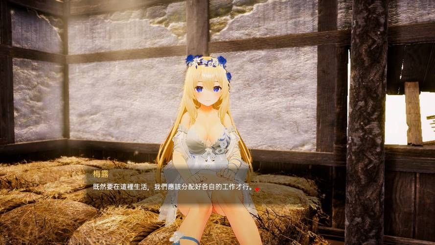 [3D互动／中文／全动态]堕落玩偶-爱欲行动 V0.31官方中文步兵版[PC+动画][10G／FM／百度][更新]