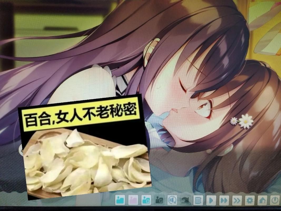 [RPG／中文／百合] 轮回：Metempsychosis官方中文版 PC+安卓 [800M／转微云+度盘]