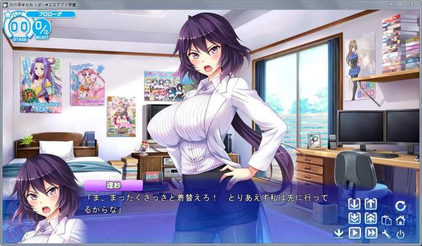 [后宫神作]炎の孕！爆炎欧派 工口APP学园 最新硬盘版／全CG存档[动态／全CV][3.5G／FM／百度]