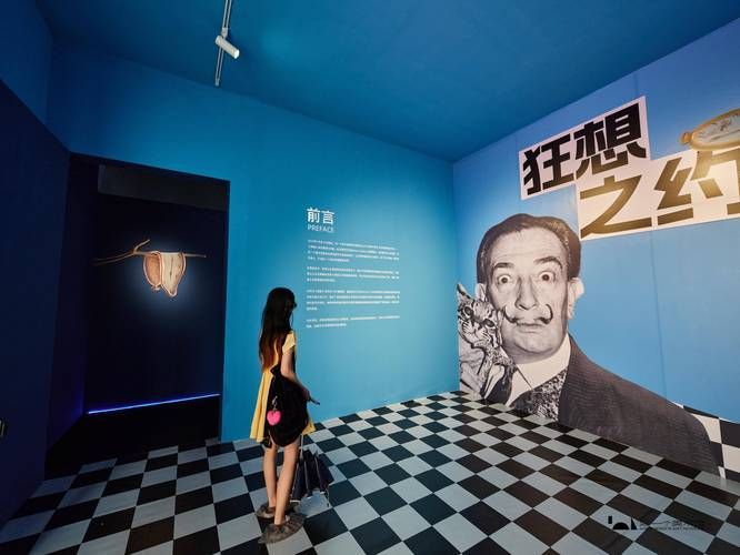 [奇妙资源／现实互动]跟着节拍来开冲：终极社保HMV-4K无损电音版 [3D+2.5D合集][2G]