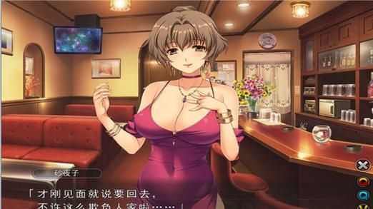 [淫妻RPG／官中]昏暗之声-Noise v0.68[3.4G／度盘+秒传+微软]