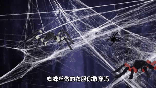 【3D】 蜘蛛丝诡迹-Build.7427145-官方网汉化版 【8.3G】【百度云下载】