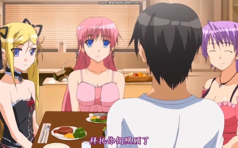 【ADV】【彼女の妹と密秘のステイホーム ～内気娘が背徳寝取り】【552MB】【百度云下载】