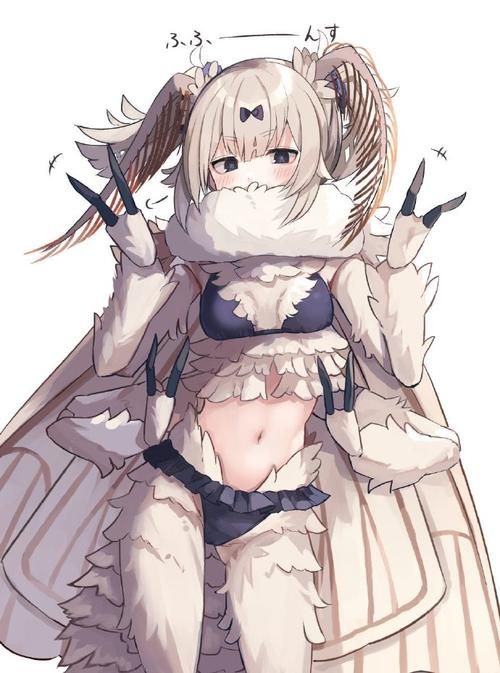 【ADV】人外娘生态录：万物皆可娘的世界未汉化版【1G】【网盘下载】
