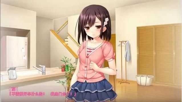 【ADV】妹妹寝取：心身全是回家的所有物【900M】【百度云下载】