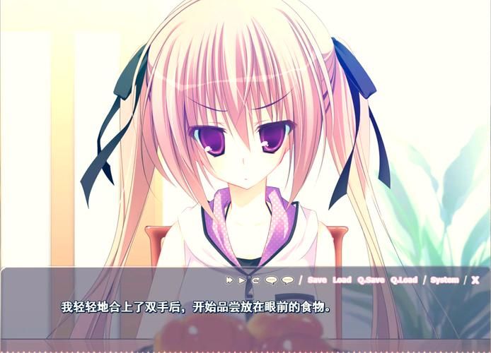 【ADV】妹调教日记正篇 FD中文版【4.2G】【百度云下载】