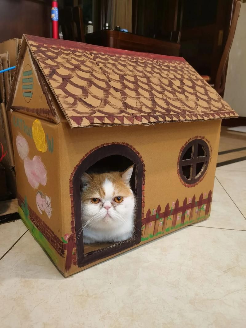 【ADV】小猫之家 Cat&rooms 完整精翻汉化版【网盘下载】