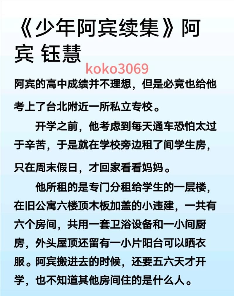 【ADV】少年阿宾CH1官方中文步兵版【PC+安卓模拟器】【网盘下载】