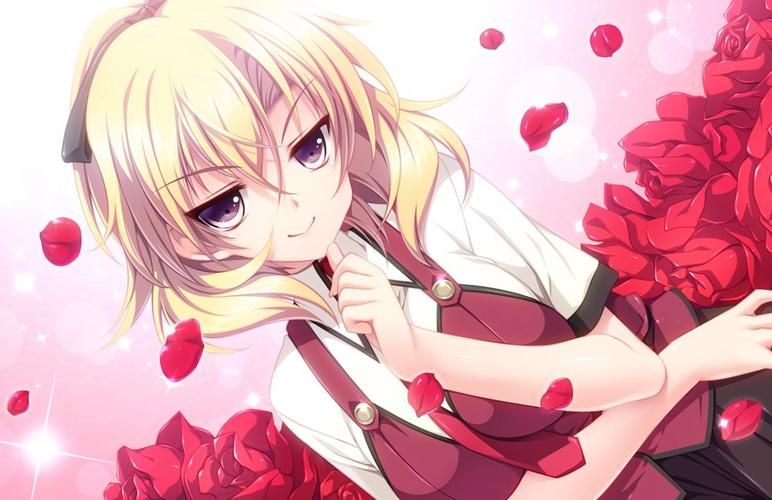 【ADV】恋爱少女与守卫之盾中文版【2G】【百度云下载】
