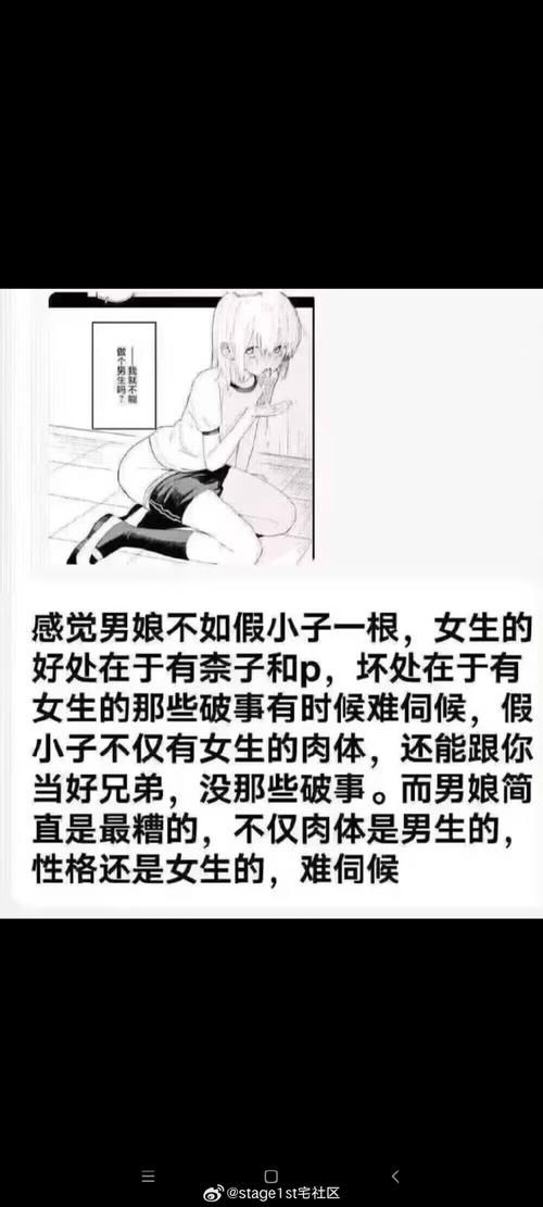 【ADV】男娘便女奇怪的弟弟和妹妹+攻略汉化版【300M】【网盘下载】