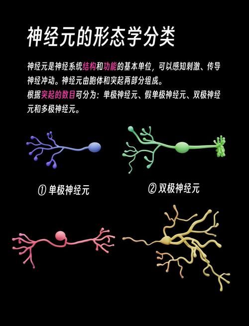【ADV】神经元 Neuronaut-附身把妹记【500MB】【网盘下载】