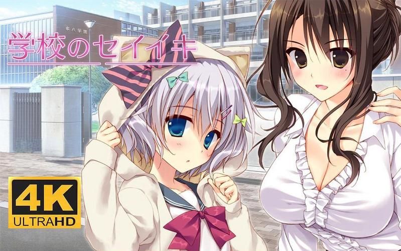 【AVD】学校的圣域 院校のセイイキ中文版【2.2G】【百度云下载】