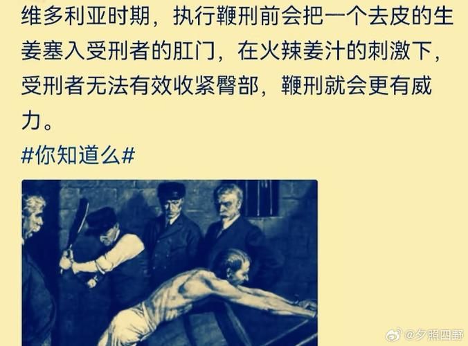 【HTML】坏奴隶训练机构 The Bad Side【600M】【网盘下载】