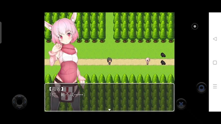 【RPG】兔耳冒險譚！打情罵俏的同時猜謎拯救世界！PC+安卓官中破解版 【2G】【網盤下載】