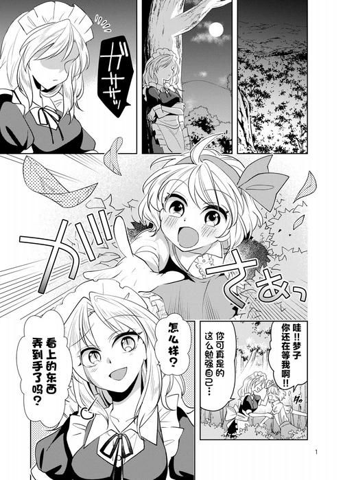 【RPG】爱丽丝和神秘的少女们-镜中世界的收卵者 云汉化版【1.2G】【网盘下载】