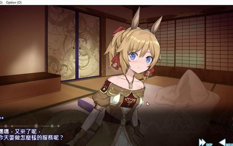 【SLG】【異世界大O勇者！V1.14 精翻中文步兵版】【2G】【網盤下載】